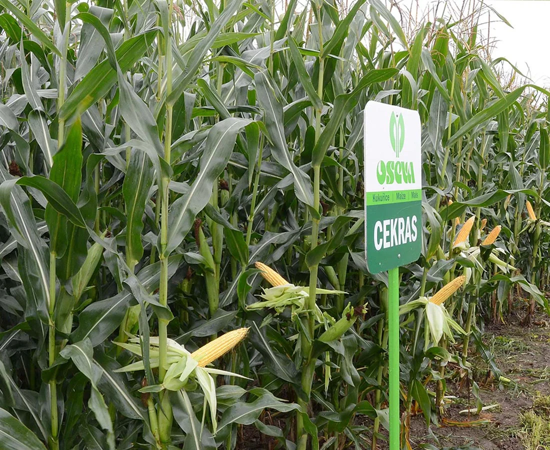 CEKRAS Fao 250/260