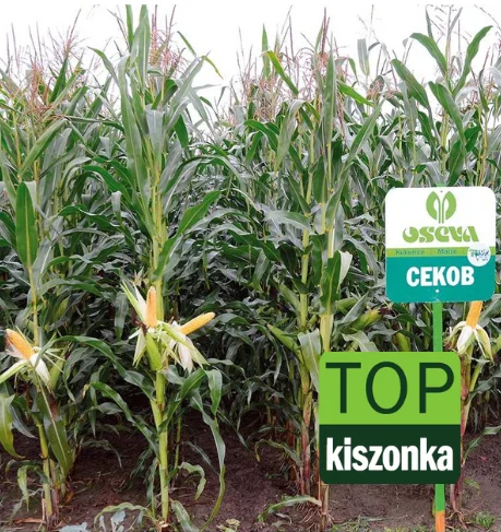 CEKOB Fao 210